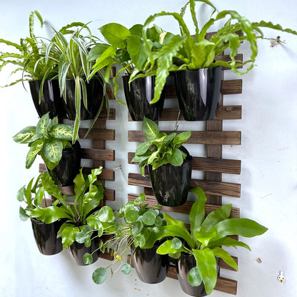 LalaGreen Bundle - 5" Pot + 35.4" Wooden Plant Holder, Black Self Watering Pot, Wooden Hanging Planters for Indoor Plants, Wall Mounted Plant Stand Ladder Outdoor Vertical Garden, Wall Hanging Pots