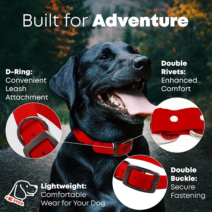Regal Dog Products Large Red Waterproof Dog Collar and Leash Set | Heavy Duty Double Buckle & D Ring - 5'ft Leash | Adjustable Biothane Dog Collar | Chew Resistant Waterproof Collar for Dogs