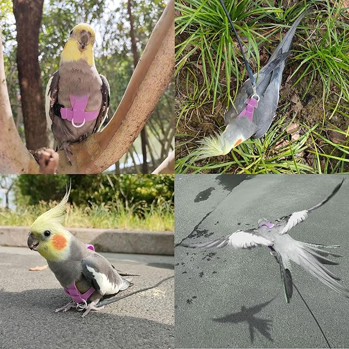 VANFAVORI Bird Harness with Buckle Clip and A Leash, Outdoor Flying Kit for Bird Parrots Cockatiel S Size Weight 85-105 Grams, Purple