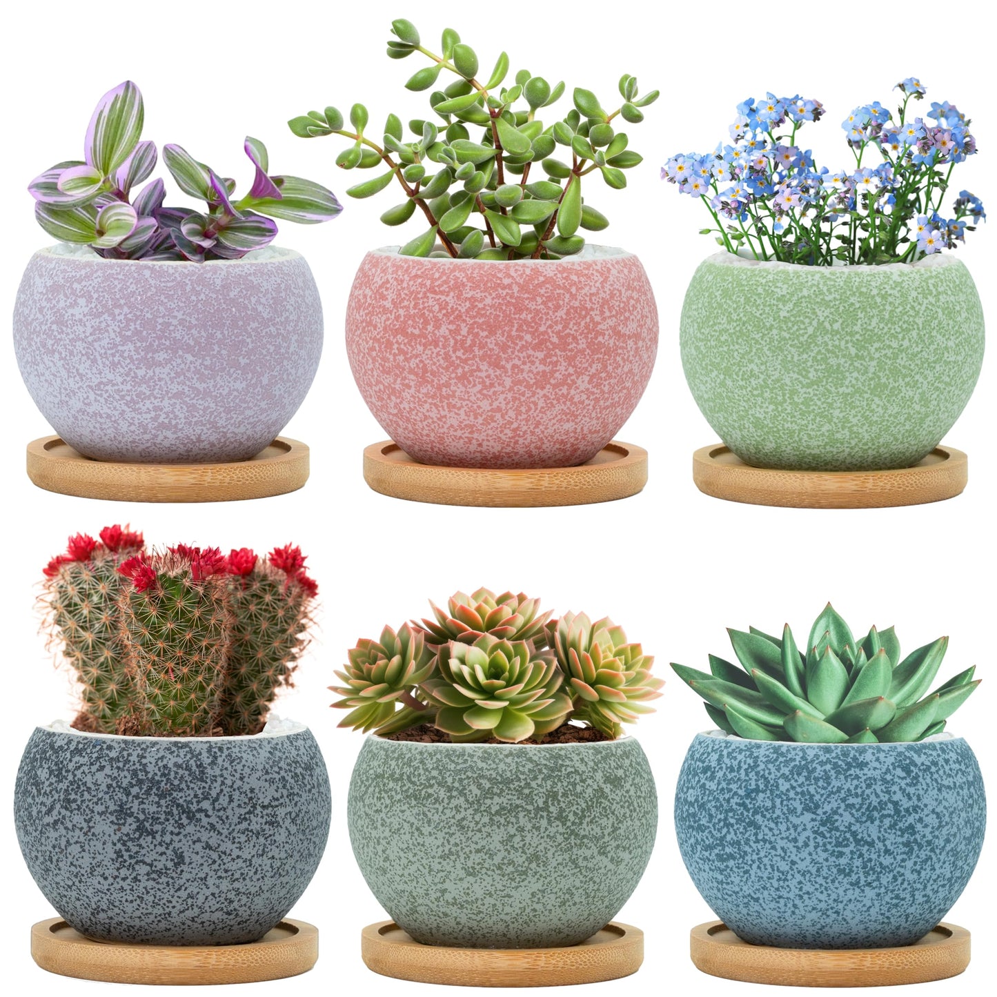 Thriving Thicket 3 inch Ceramic pots for Plants, Small Succulent Pots Set with Drainage, 6 Pack Flower Pot for Indoor Plant, Planters for Little or mini Cactus 2 inches Plants