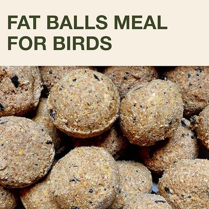 SWISSINNO Bird Feeders - No Mess Fat Ball/Suet Feeder for Outdoors Hanging - Smart Birds Lucerne Spill Proof Wild Cardinal Bird Feeder with Integrated Seed Catcher Tray - Light Grey