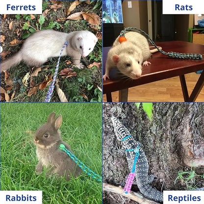 Ferret Leash Harness Adjustable Squirrel Sets, Leashes and Harnesses for Ferrets Guinea Pig Chinchilla Rat Dragon Bearded Small Animal, Pet Squirrel Ferret Accessories (Blue)