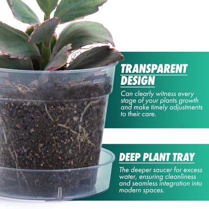 4 Inch Clear Plastic Plant Pot with Drainage Holes, Interlocking & Detachable Tray - Deep Saucer - Durable BPA-Free Plastic, Transparent Design, Raised Base for Airflow, Set of 6, 92-X-A-2