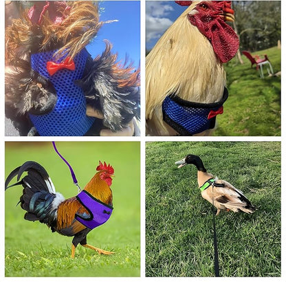 3 Pack Chicken Harness and Leash Set Adjustable Hen Vest with Matching Belt Breathable Mesh Training Harness Pets Leash for Hens Duck Goose Small Pet-Green&Purple&Blue,L