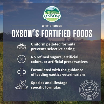 Oxbow Garden Select Guinea Pig Food, Adult, Made with Oxbow Timothy Hay for Guinea Pig, Pet Food Pellets with Vitamin C, Non-GMO, Small Animal Pet Products, Made in USA, High Fiber, 8 lb. Bag