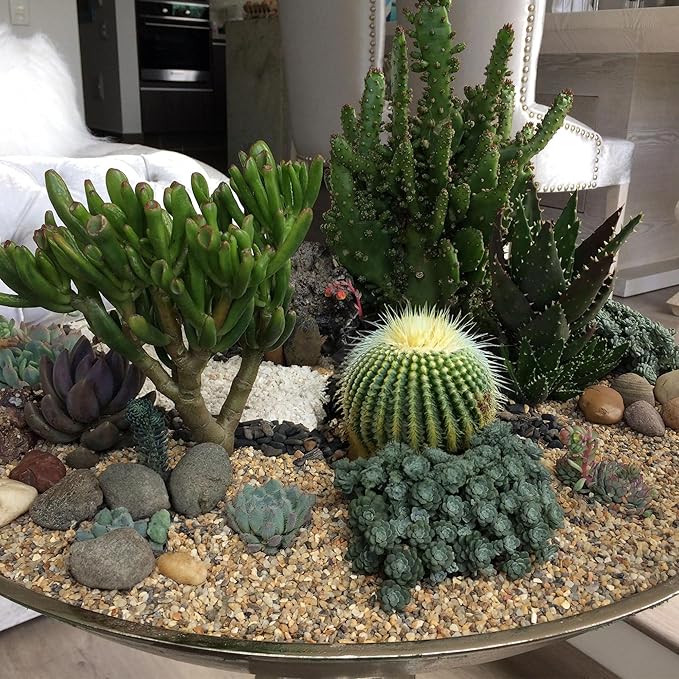 5 lbs Aquarium Gravel, 3-6mm Fish Tank Gravel, Succulent Cactus Pea Gravel for Indoor Plants, River Rocks for Gardening, Flower Pots, Vase Fillers, Garden Landscaping