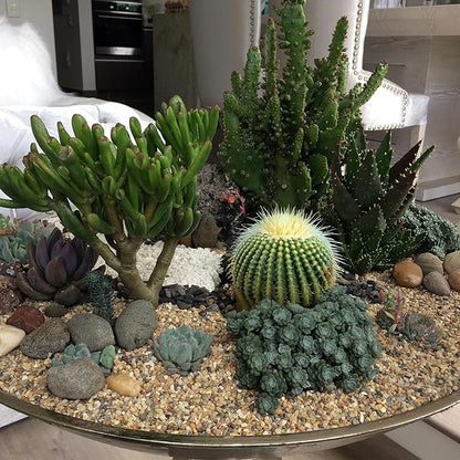 5 lbs Aquarium Gravel, 3-6mm Fish Tank Gravel, Succulent Cactus Pea Gravel for Indoor Plants, River Rocks for Gardening, Flower Pots, Vase Fillers, Garden Landscaping