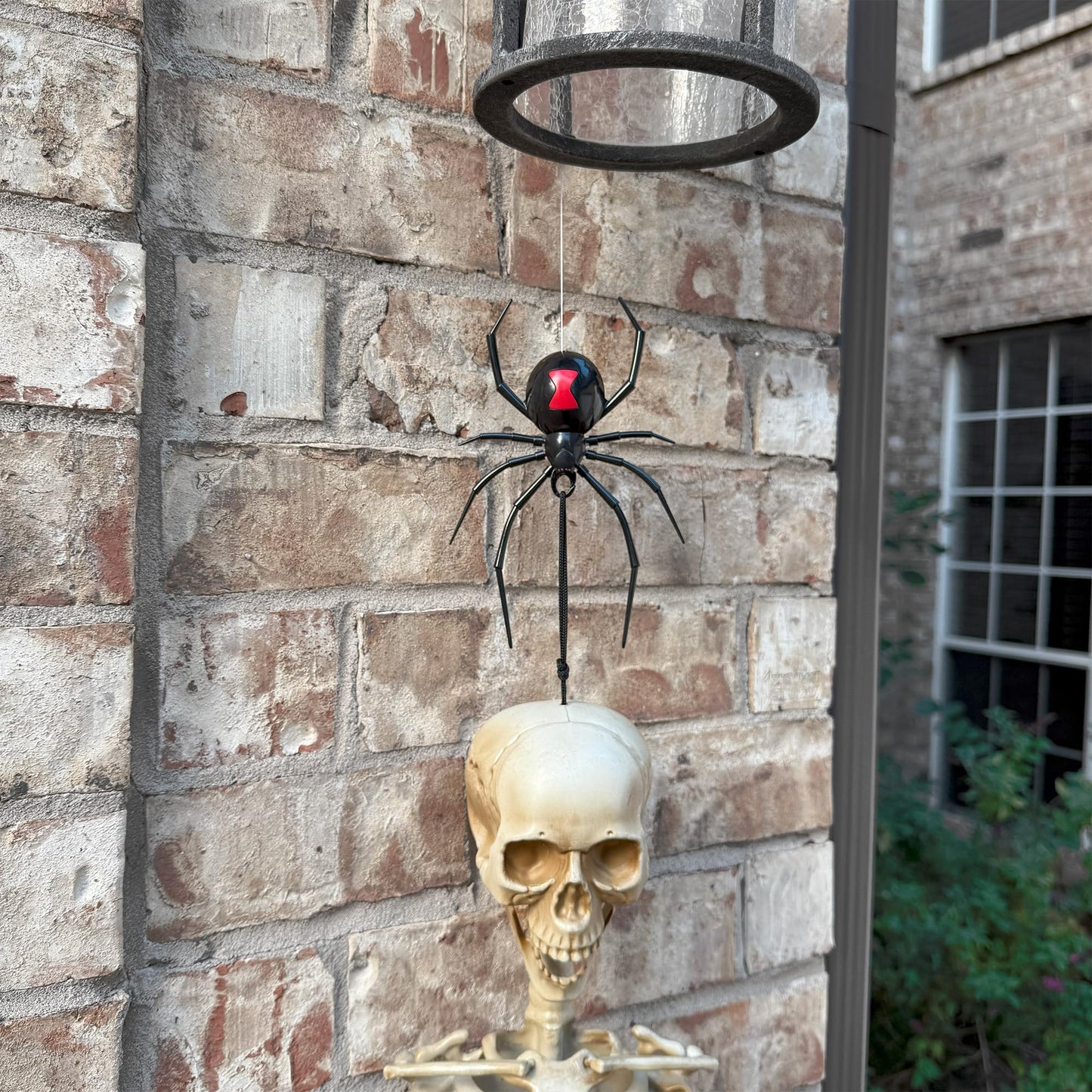Haute Decor SpiderBites Halloween Décor Hanger 1-Pack