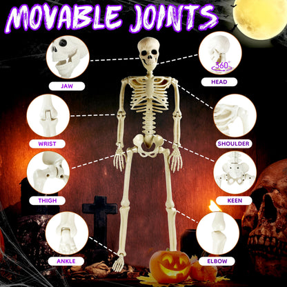 2 Pack 36" Halloween Skeleton, Full Body Posable Joints Poseable Plastic Skeletons Props for Halloween Party Spooky Decoration Yard Lawn Garden Patio Decor