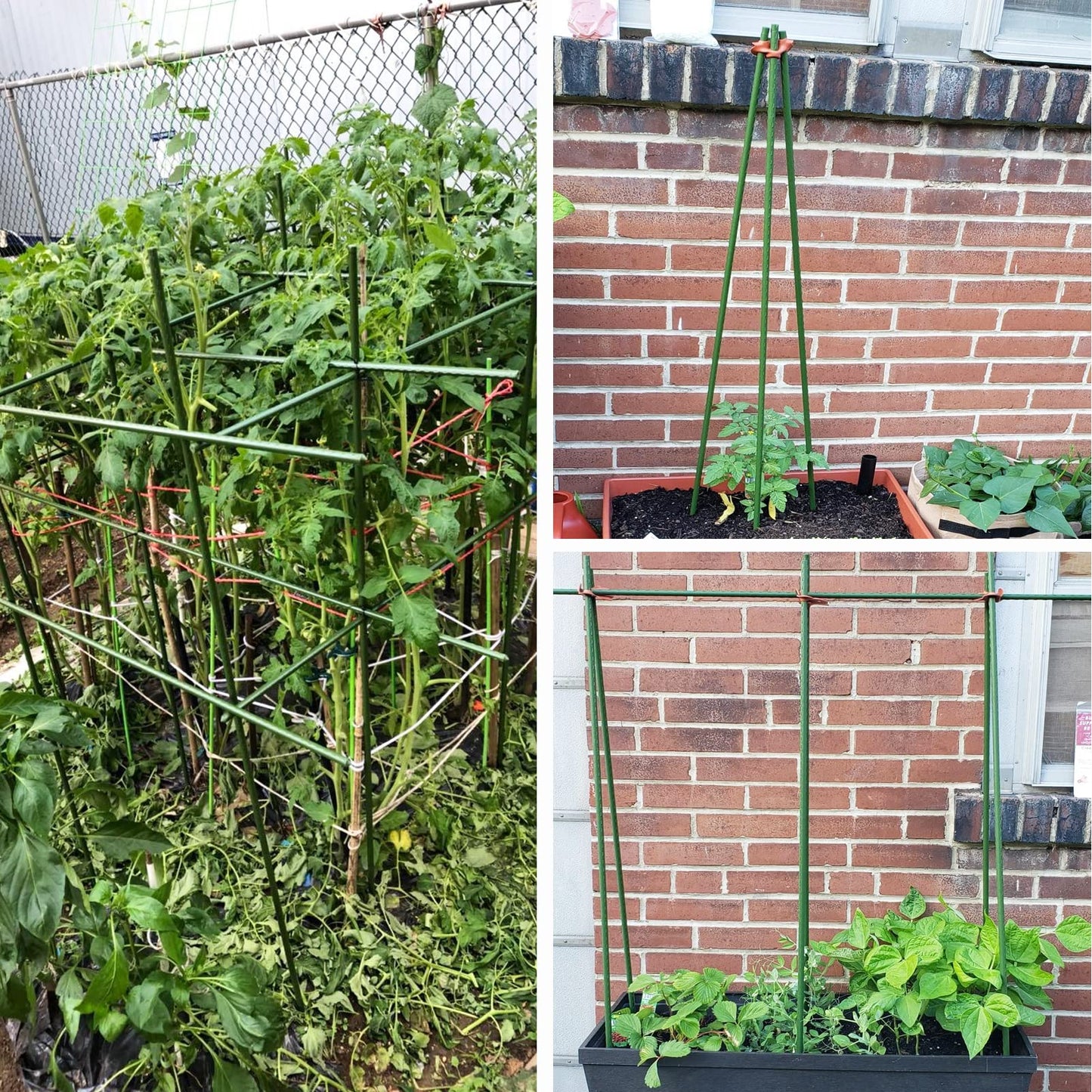 YIDIE Sturdy Metal Garden Plant Stakes 4 Ft Plastic Coated Steel Plant Sticks,Pack of 25