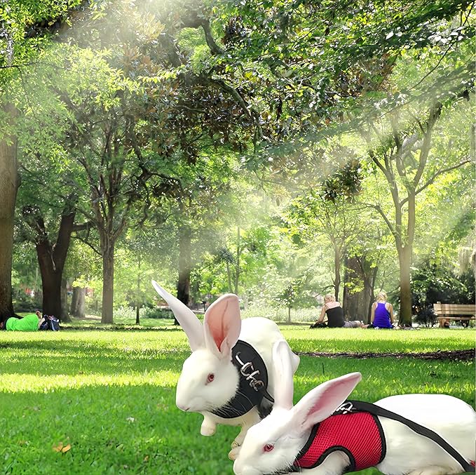 2 Pack Adjustable Bunny Rabbit Harness and Leash Set Breathable Mesh Vest Harness for Rabbits Kitten Ferret Puppy Small Pets Walking Supplies-Red&Black,S