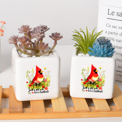 BJDAMAI Cardinal Succulent Planter Flower Plant Pot Small, Gifts for Women Teens Girls Kids, Cardinal Lovers Themed Stuff Accessories Things Decor Merch, Home Office Table Desk Decoration!