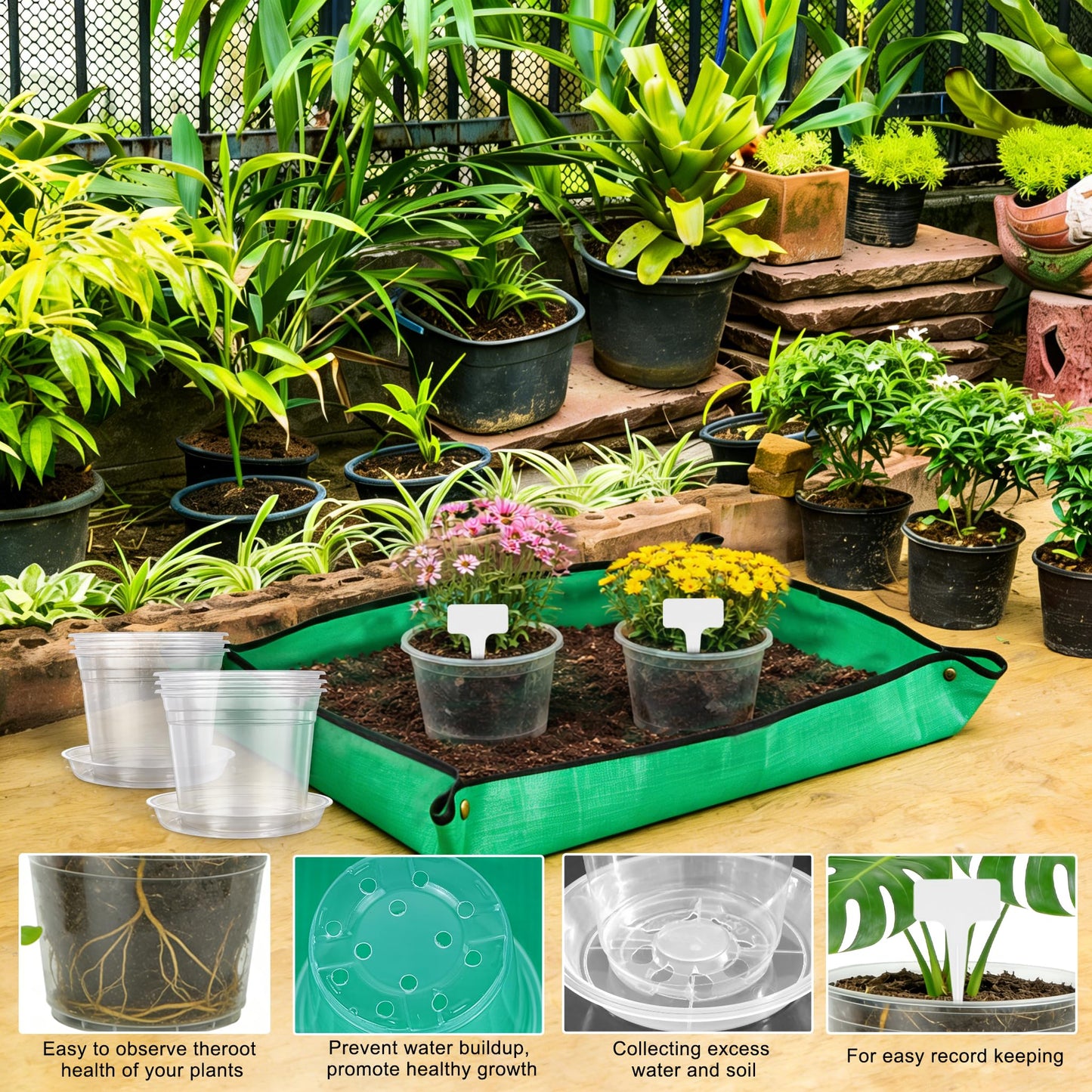 QTRQTR 12 Pack 5.75/7/8/10 Inch Large Clear Nursery Pots with Drainage Clear Plastic Pots for Plants Seedling Flower Vegetables Orchids Indoor Outdoor Gardening with Repotting Mat and Plant Labels