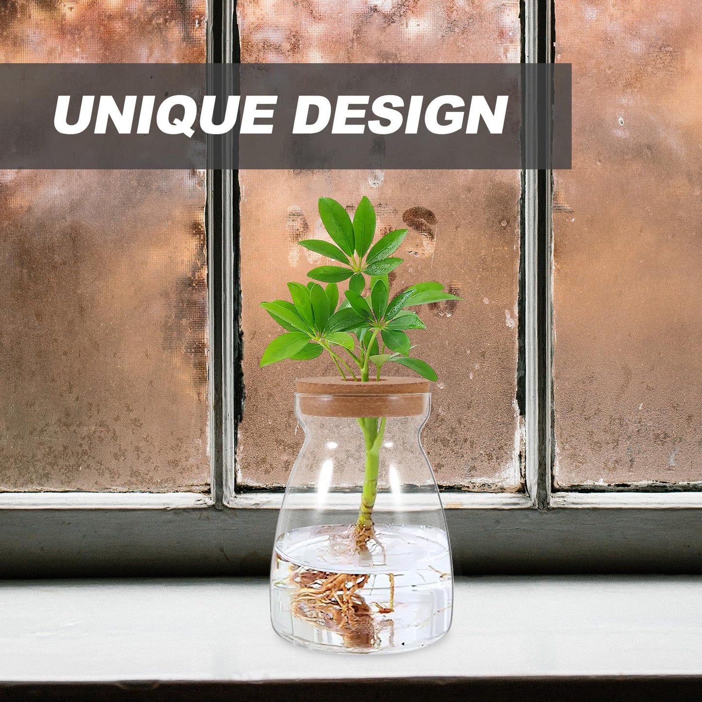 CONGARTENO Glass Flower Vase Hydroponic Succulent Planter Large Trapezoid Glass Vase with Wooden Stopper 3cm Hole for Indoor Plant Terrarium and Floral Arrangement