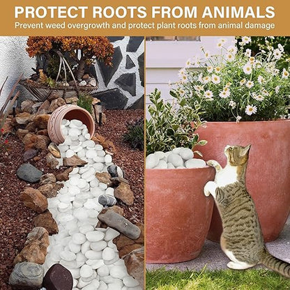 NUPICK 16lb White River Rocks for Outdoor Landscaping, 2-3 Inch Pebbles for Indoor Plants, Natural Polished Aquarium Gravel, Decorative Rocks for Succulent, Garden, Vases Fillers, Bird Baths