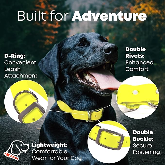 Regal Dog Products Large Yellow Waterproof Dog Collar and Leash Set | Heavy Duty Double Buckle & D Ring - 5'ft Leash | Adjustable Biothane Dog Collar | Chew Resistant Waterproof Collar for Dogs
