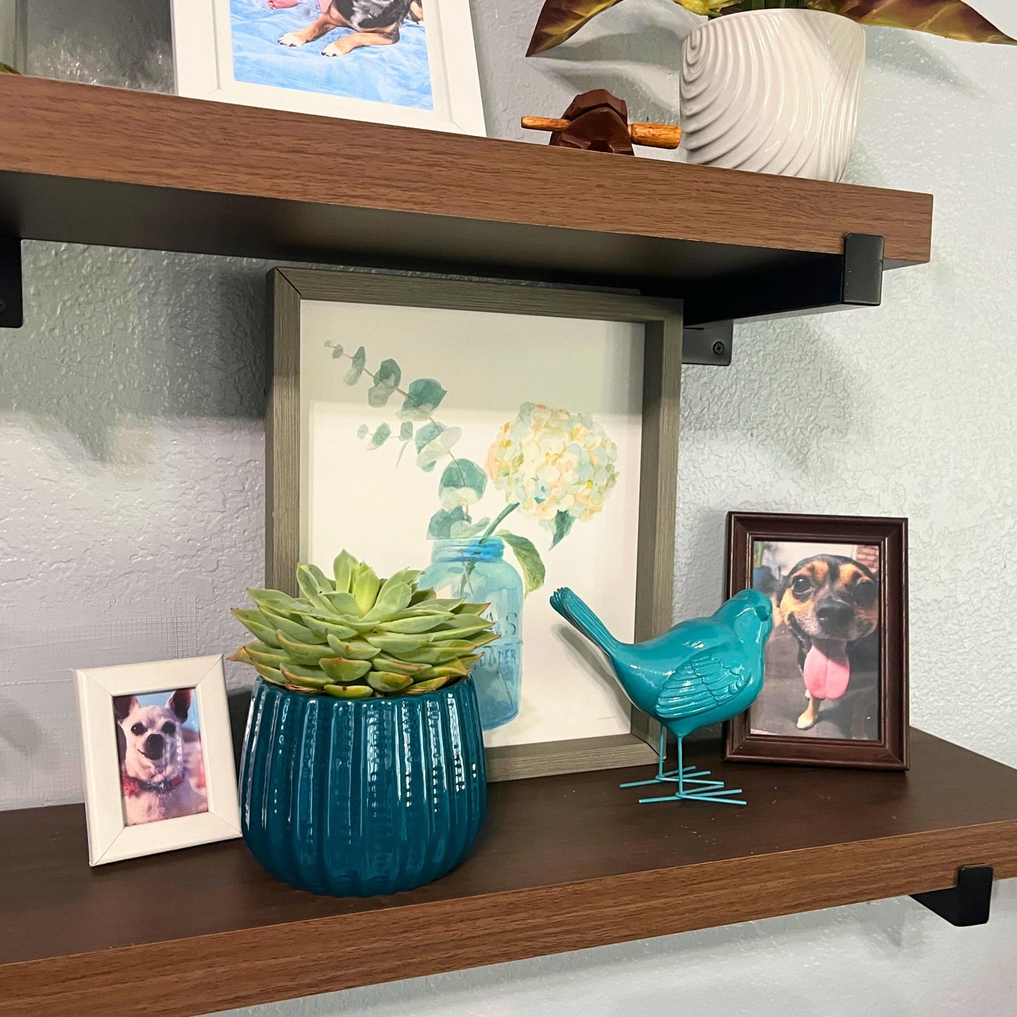 Admired By Nature 4" Ceramic Flower Planter Pot Decorative Planter for Indoor Plant Succulent Home Décor, Lightweight, Turquoise