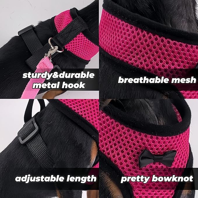 3 Pack Chicken Harness and Leash Set Adjustable Hen Vest with Matching Belt Breathable Mesh Training Harness Pets Leash for Hens Duck Goose Small Pet-Black&Red&Pink,L