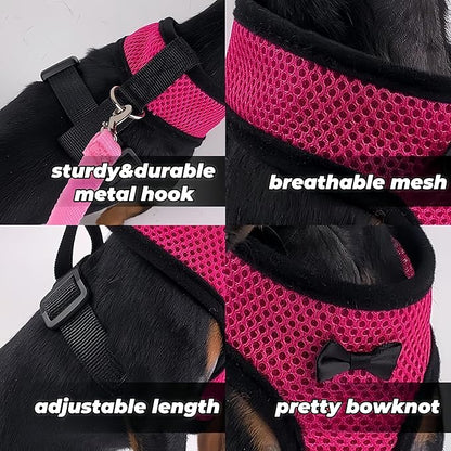 3 Pack Chicken Harness and Leash Set Adjustable Hen Vest with Matching Belt Breathable Mesh Training Harness Pets Leash for Hens Duck Goose Small Pet-Black&Red&Pink,L