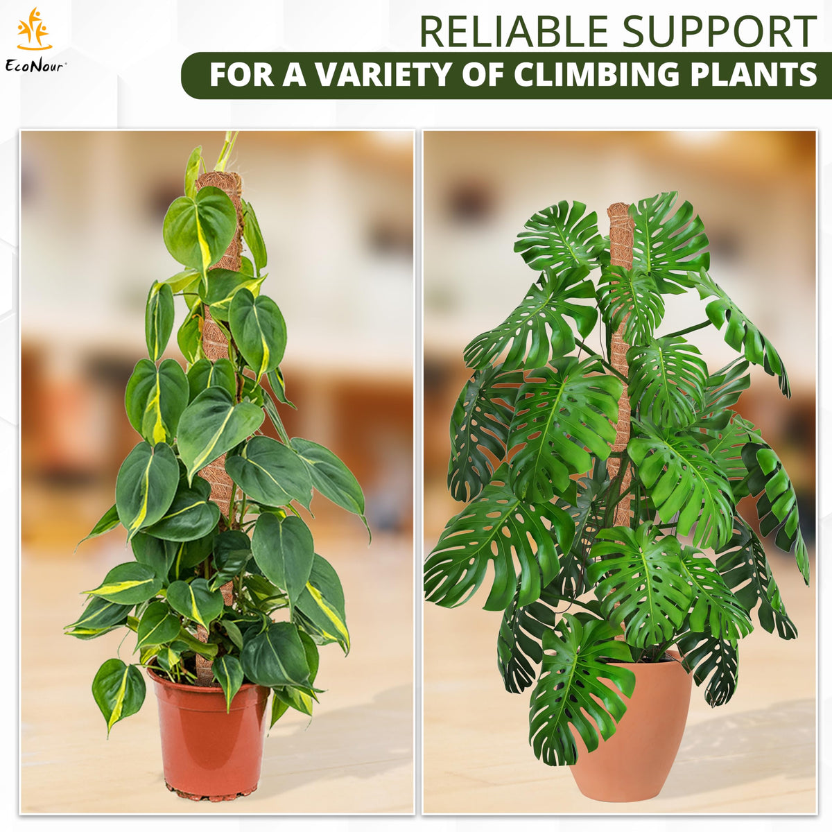 EcoNour Tall Moss Pole for Plants (1-Pack) 63-Inch | Large Monstera Plant Support for Climbing and Growth | Elevate Your Indoor Garden | Tall Plant Support for Indoor Potted Plants to Grow Upwards