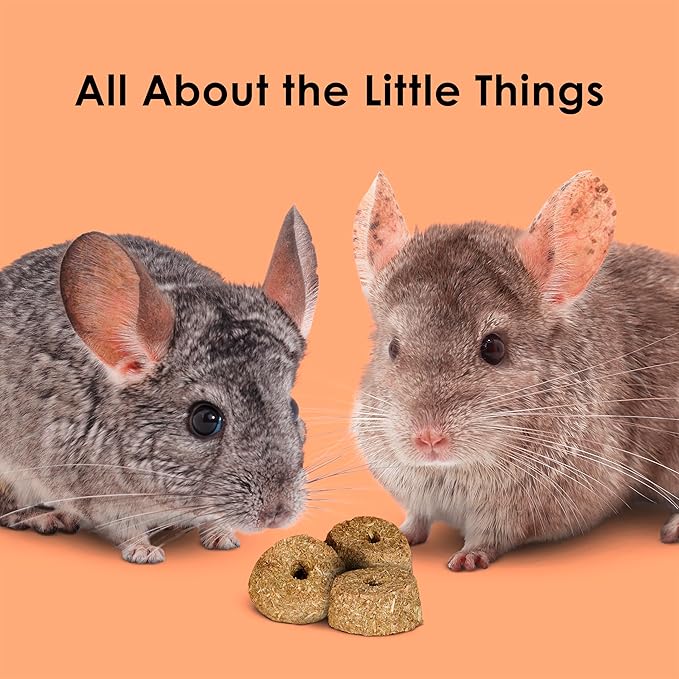 Kaytee Super C Bites Treat For Pet Guinea Pigs, Adult Rabbits, Chinchillas, and Other Small Animals, Cranberry and Orange, 4 oz