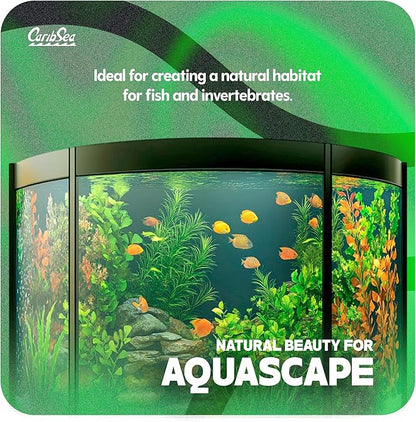 Carib Sea Super Natural Moonlight Sand for Aquarium – 5 lb Each – Ideal for Freshwater Aquaria – Perfect for Discus, Tetras, Angelfish, and More – (Pack of 2)