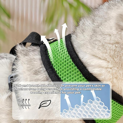 3 Pack Chicken Harness and Leash Set Adjustable Hen Vest with Matching Belt Breathable Mesh Training Harness Pets Leash for Hens Duck Goose Small Pet-Green&Purple&Blue,S