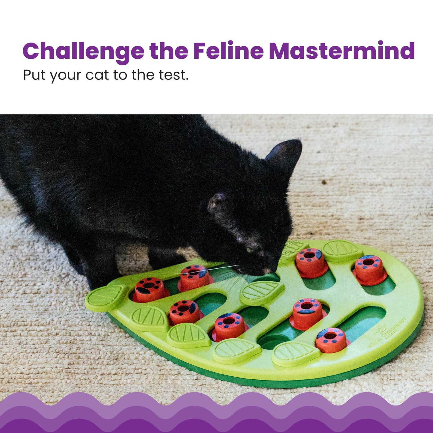 Catstages Buggin' Out Puzzle & Play, Interactive Treat Puzzle Cat Toy, Green