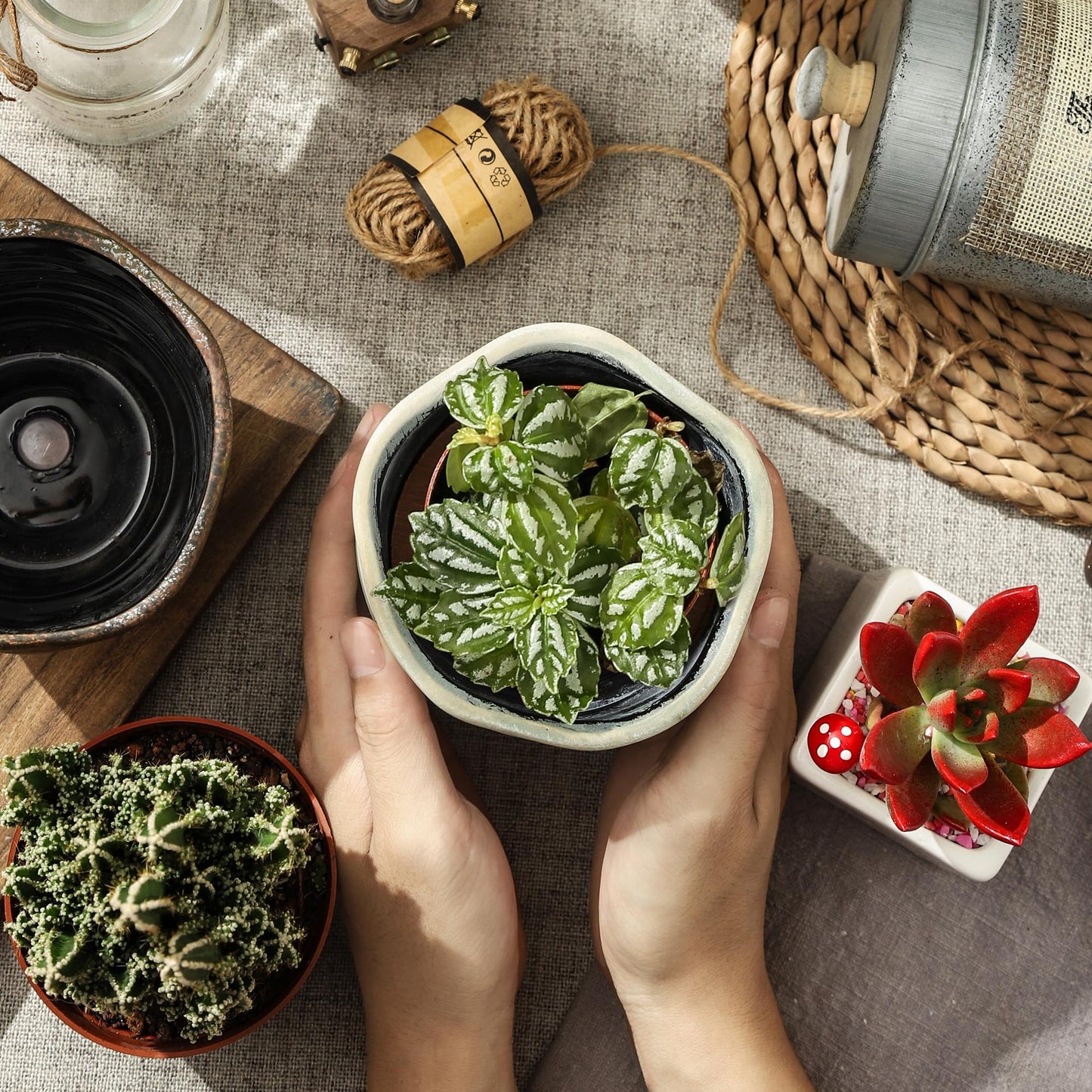 Pkeo Bbun 4+6 Inch Ceramic Planter Set of 2 with Drainage Hole,Saucer for Plants, Indoor-Outdoor Large Round Succulent Orchid Flower Pot- Cement Paint, Inner-pots not Larger Than 5 Inch Light Green