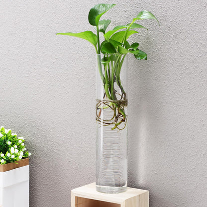 Angoily Wall Mounted Flower Vase Glass Tube Propagation Station 2pcs Hanging Terrarium Indoor Planter for Hydroponic Plants Modern Home Décor