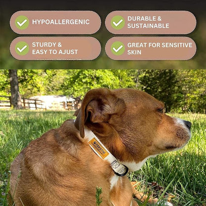 Pawsitive Hemp Dog Collar - Super Soft Hypoallergenic Lining. Great for Small, Medium and Large Dogs; Large Night Blue