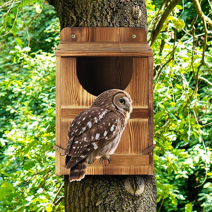 Owl House, Barn Owl Nesting Box with Bird Stand and Wood Shavings, Large Wooden Screech Nesting Box for Outside, Nest Box for Wild Birds, Barn, Screech, Eagle, 1 Set