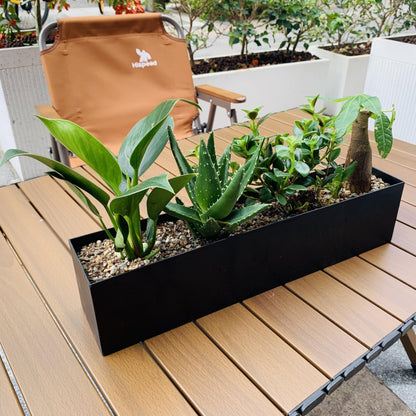 PSOIRGCNH Modern Metal Steel Trough Planter - Rectangle Black Planters for Indoor - 16" Window Sill Planters - Table or Window Boxes Planter - Windowsill Herb(1pc Short Black)