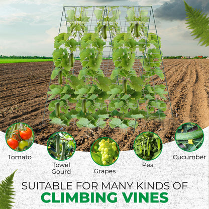 FazCo – Cucumber Trellis for Garden Raised Bed - 48" by 34" Outdoor Foldable Pea Trellis - A Frame Panel for Climbing Plants Vegetables Vines with Plant Support Clips & Staple Pins