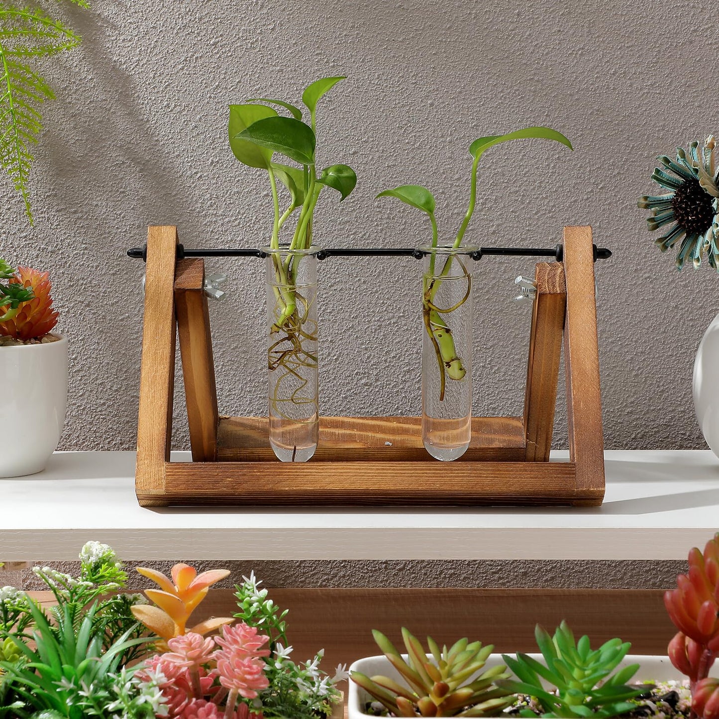 TOYANDONA 5pcs Glass Propagation Tubes for Plants Small Hydroponic Test Tube Vases for Flowers Home Decoration Plant Terrarium Station 2.5x3x11cm
