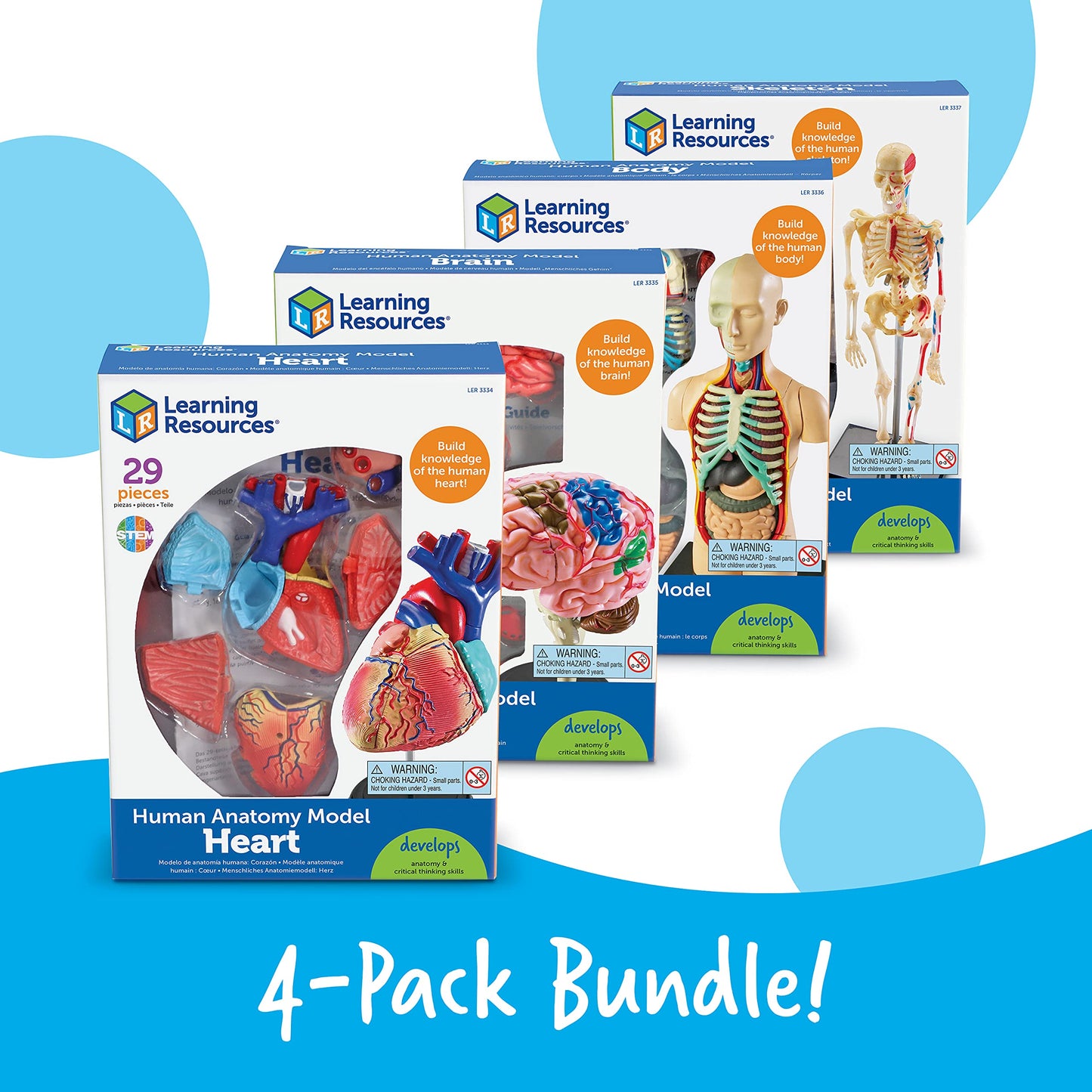 Learning Resources Anatomy Models Bundle Set - Skeleton and Physiology, Human Body Model , Science Classroom Must Haves, Biology Teacher Supplies, Interactive Homeschool Projects, Montessori