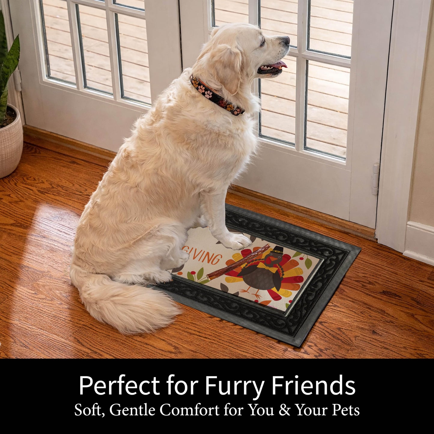 Evergreen Sassafras Fall Christmas Holiday Doormat Insert Bundle & Tray Set of 5, Interchangeable Entrance Door mats Indoor and Outdoor Welcome Mat 30 x 18 Tray Non Slip Backing Low Profile
