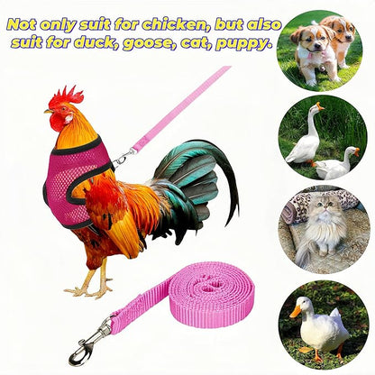 3 Pack Chicken Harness and Leash Set Adjustable Hen Vest with Matching Belt Breathable Mesh Training Harness Pets Leash for Hens Duck Goose Small Pet-Black&Red&Pink,S