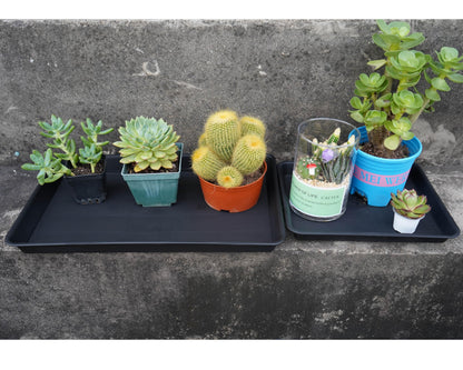 VUWEZ 2 Pack Plant Saucer Tray Rectangular, Plant Growing Nursery Trays, Heavy Sturdy Seed Starting Trays, Plants Starter Saucers for Indoors No Holes, Seed Starter Growing Tray (17.5"x10.6", Black)