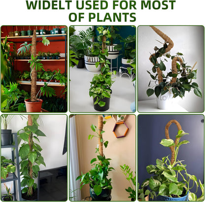 2-Pack 48'' Bendable Moss Poles for Monstera & Climbing Plants – Flexible Trellis Plant Support Stakes with Accessories – Indoor & Outdoor Use
