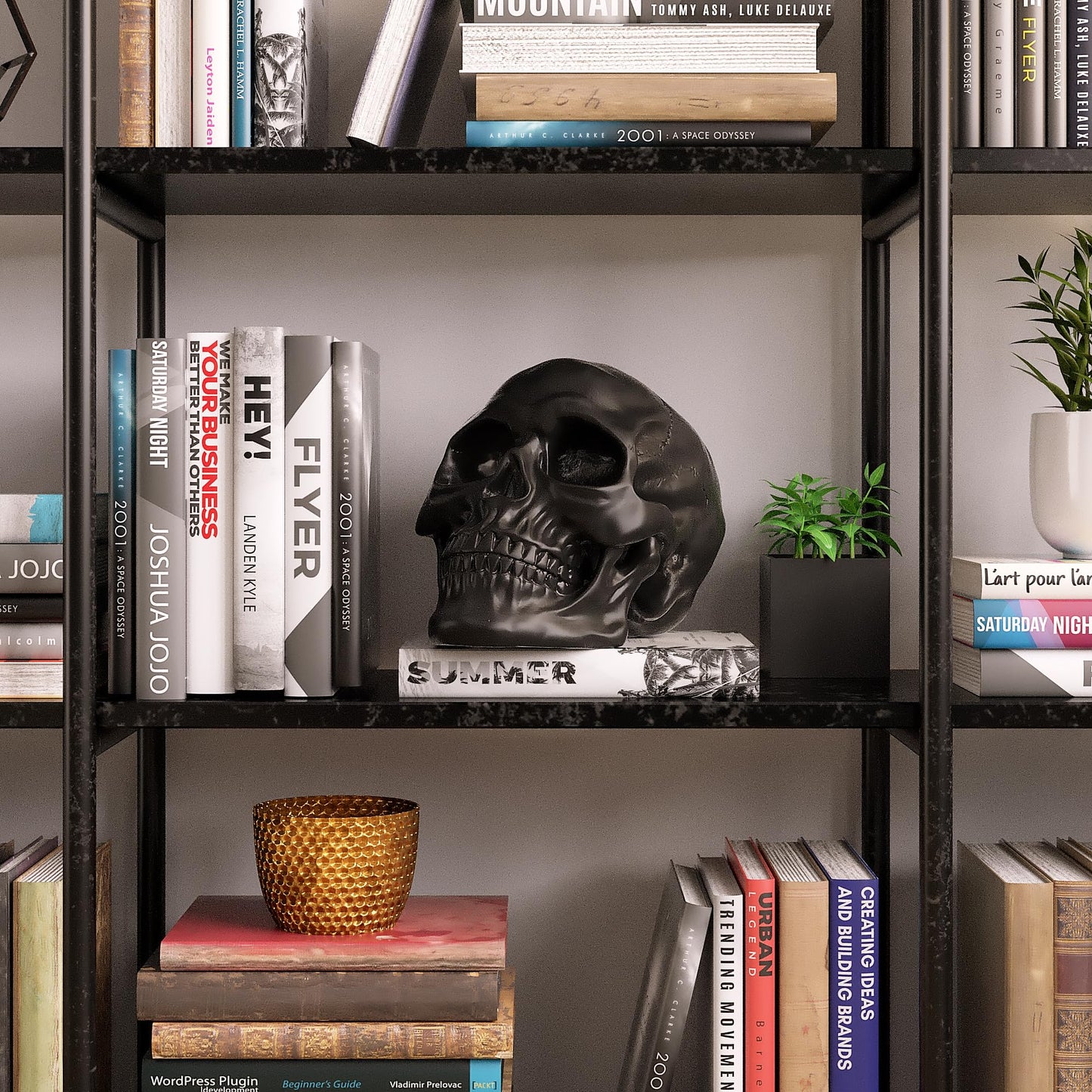 READAEER Resin Skull, Human Head Model for Home Decoration, Halloween Statue, Skull Model for Bookshelf and Desktop (Black)