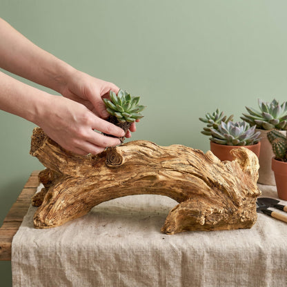 Hiceeden Artificial Driftwood Succulent Planter, Resin Tree Stump Sculpture Rustic Cactus Flower Pot for Herb, Strawberry, Small Plants, Natural Color Drainage Hole, 14.6" L x 4.3" W x 5.1" H