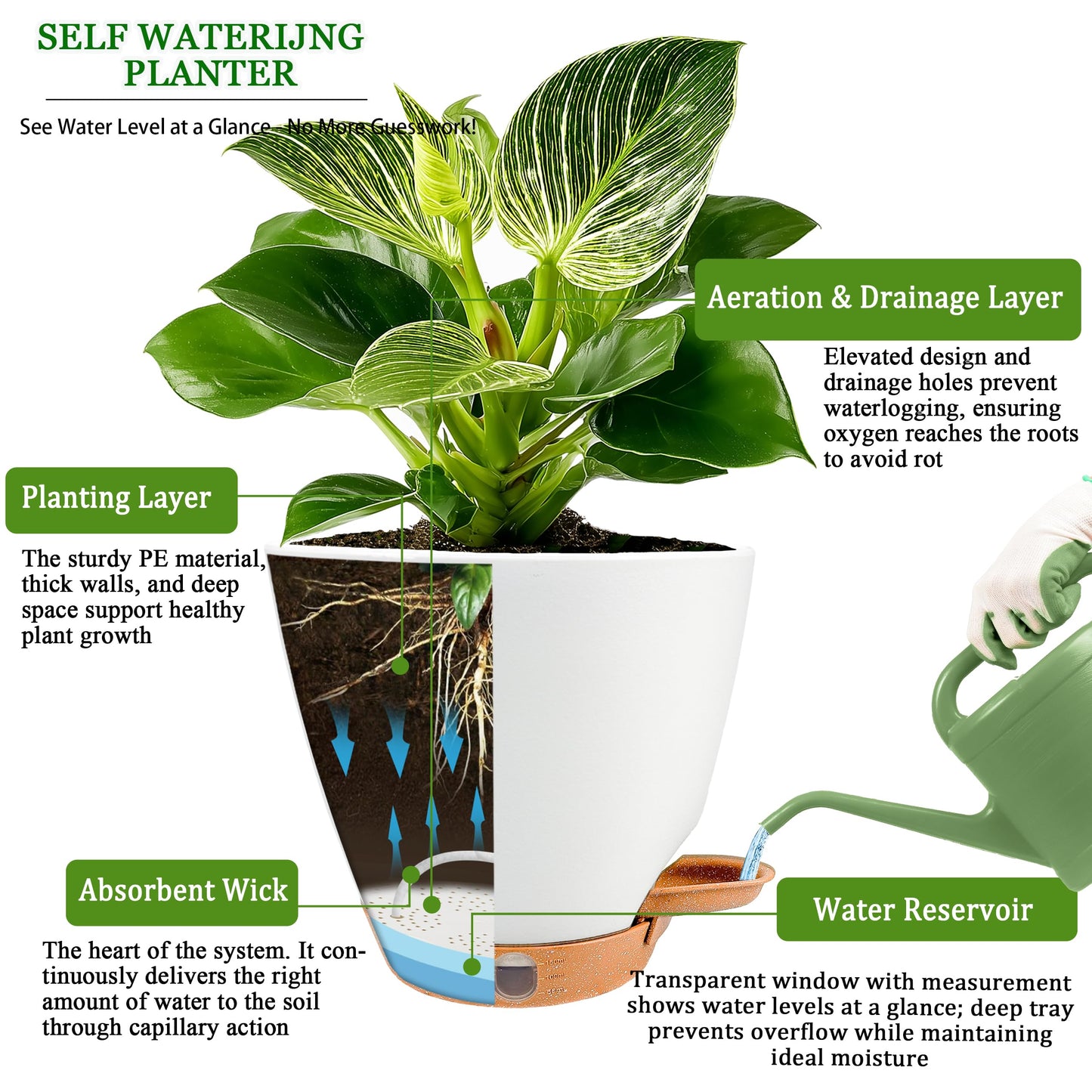 6 Inch Self Watering Pots for Indoor Plants(5-Pack) – Small Plastic Planters with Water Level Window, Drainage Holes & Detachable Trays, Indoor Outdoor Flower Pots for Herbs, Snake,Pothos(White)