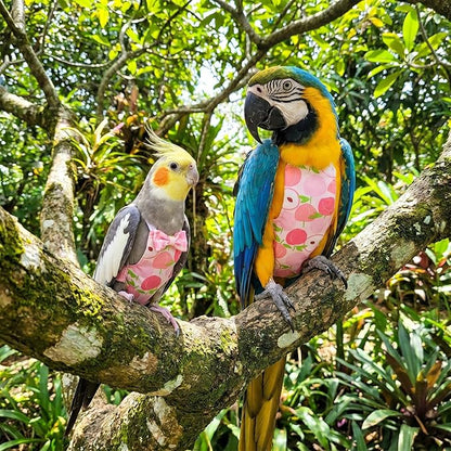 4 Pcs Bird Diaper, Reusable Pet Bird Diapers Parrot Flight Suit with Waterproof Inner Layer Adjustable Parakeet Diaper Washable for Parakeet Cockatiel Mini Macaw Budgie Canary Size L