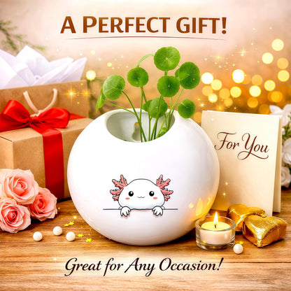 BJDAMAI Axolotl Small Wall Planters for Indoor Outdoor Pots Ceramic, Gifts for Women Teens Girls Kids, Axolotl Lovers Themed Gifts Decor Stuff Things Items!