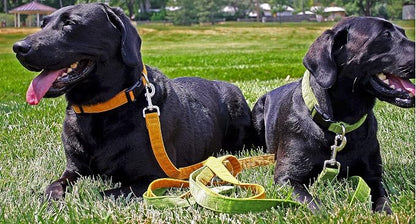 Hemp Corduroy Dog Collar Available in 9 Colors (Rust, Marigold, Bronze, Avocado, Blue, Plum, Pink, Red, Black) Sold in 6 Sizes (3/4" Small, Bronze)