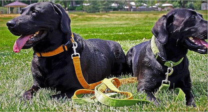 Hemp Corduroy Dog Collar - No Pattern (1/2" Extra Small, Black)