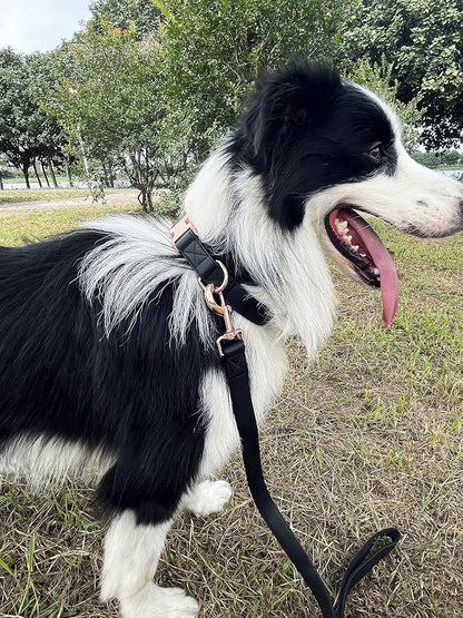 Dog Collar and Leash Set.Soft and Easy to Clean Vegan Leather with Rose Gold Metal Buckle for Small Medium Large Dogs (Black, M(13.8"-19.7"))