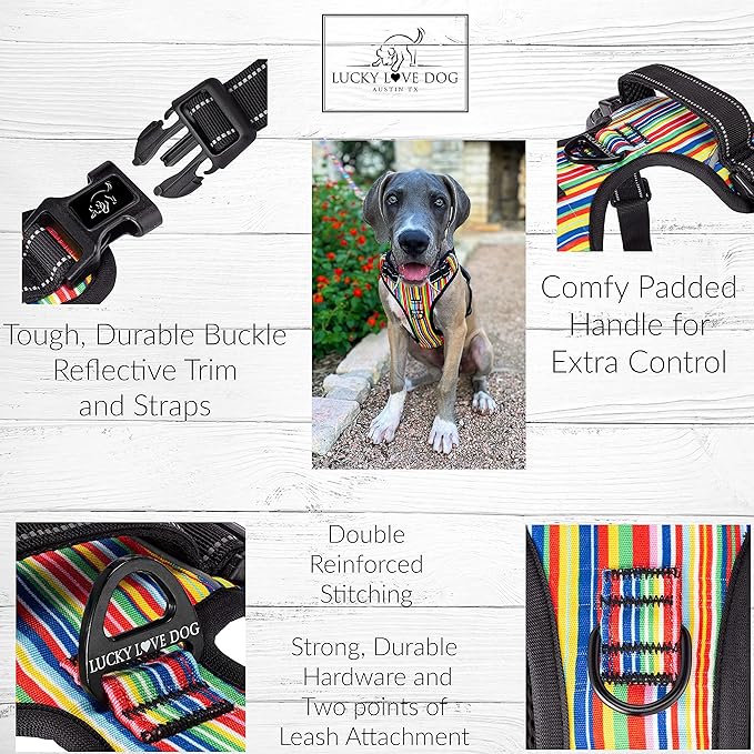 Lucky Love Dog Harness, Easy to Walk, No Pull Dog Harness, Adjustable Custom Fit (Hippie, Extra Small)