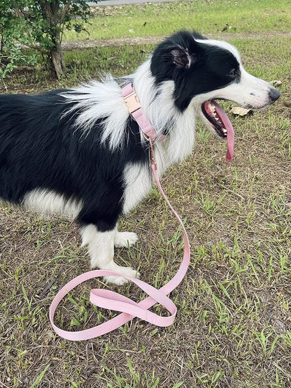 Dog Collar and Leash Set.Soft and Easy to Clean Vegan Leather with Rose Gold Metal Buckle for Small Medium Large Dogs (Pink, M(13.8"-19.7"))